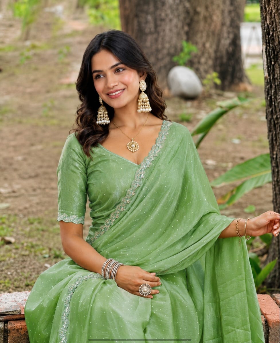 organza jimmy choo saree